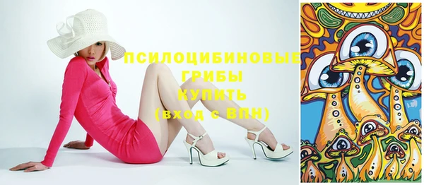 бошки Елизово