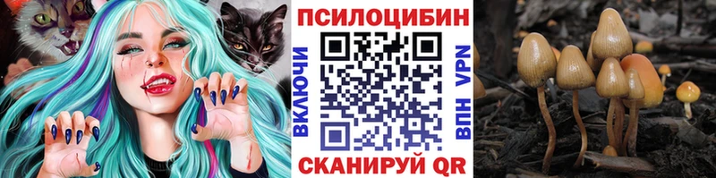 Псилоцибиновые грибы GOLDEN TEACHER  Купить закладки  Славянск-на-Кубани 
